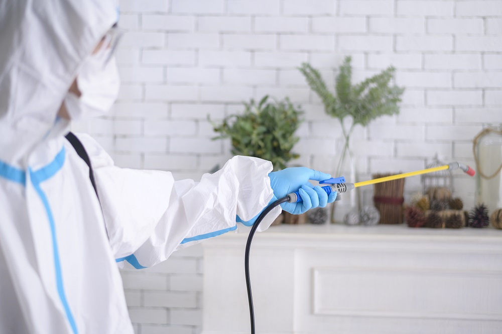 Top-Rated Hawx Pest Control Reviews You Can Rely On